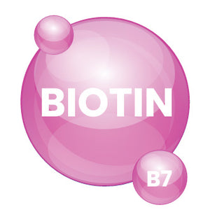 Biotin (Vitamin B7)