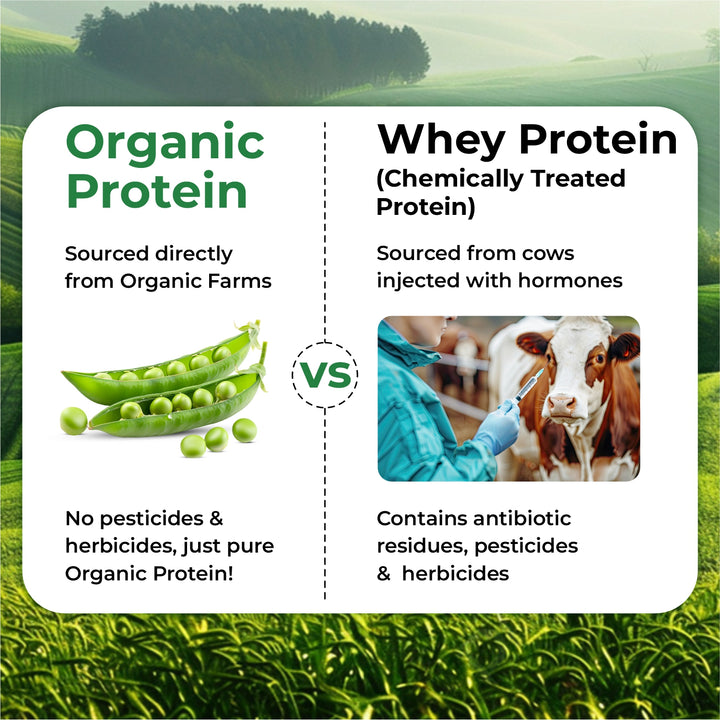 Vlado's Himalayan Organics Organic Protein ( Made with Pea ) - 500G