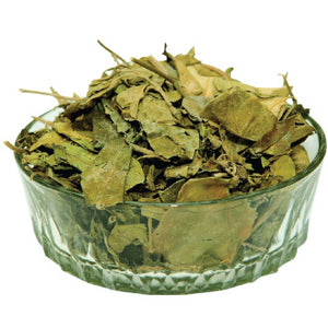 Gudmar, Bael & Bitter Melon Extracts