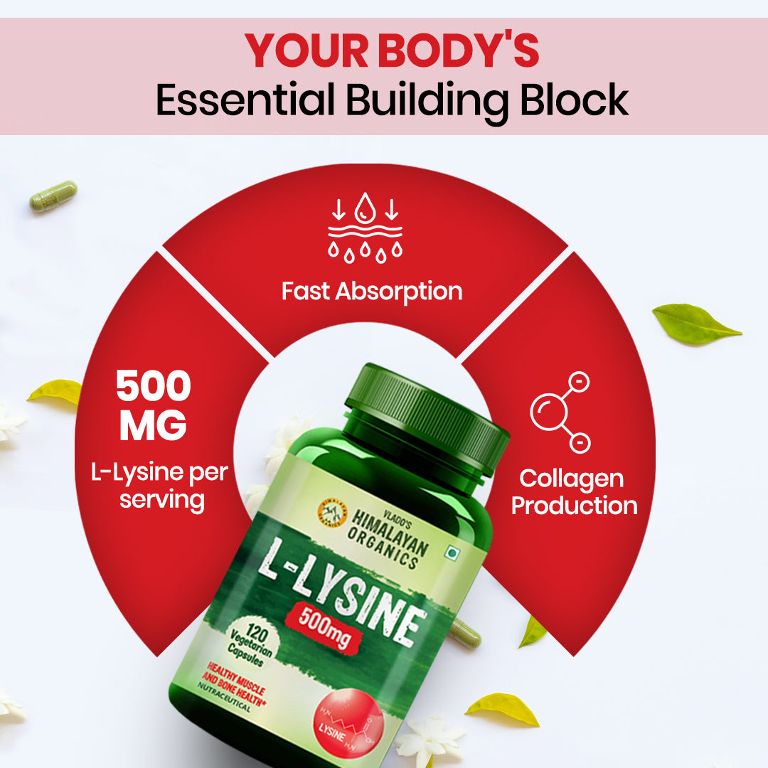 Vlado’s Himalayan Organics L-Lysine 500mg Essential Amino Acid | Supports Heart Health | Boosts Immunity | Improve Bone Health- 120 Veg Capsules