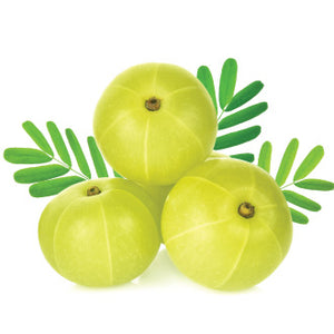 Amla Extract6