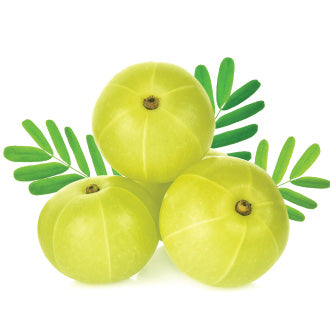 Amla Extract6
