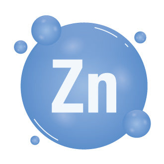 Liposomal Zinc
