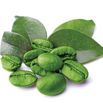 Green Coffee Extract