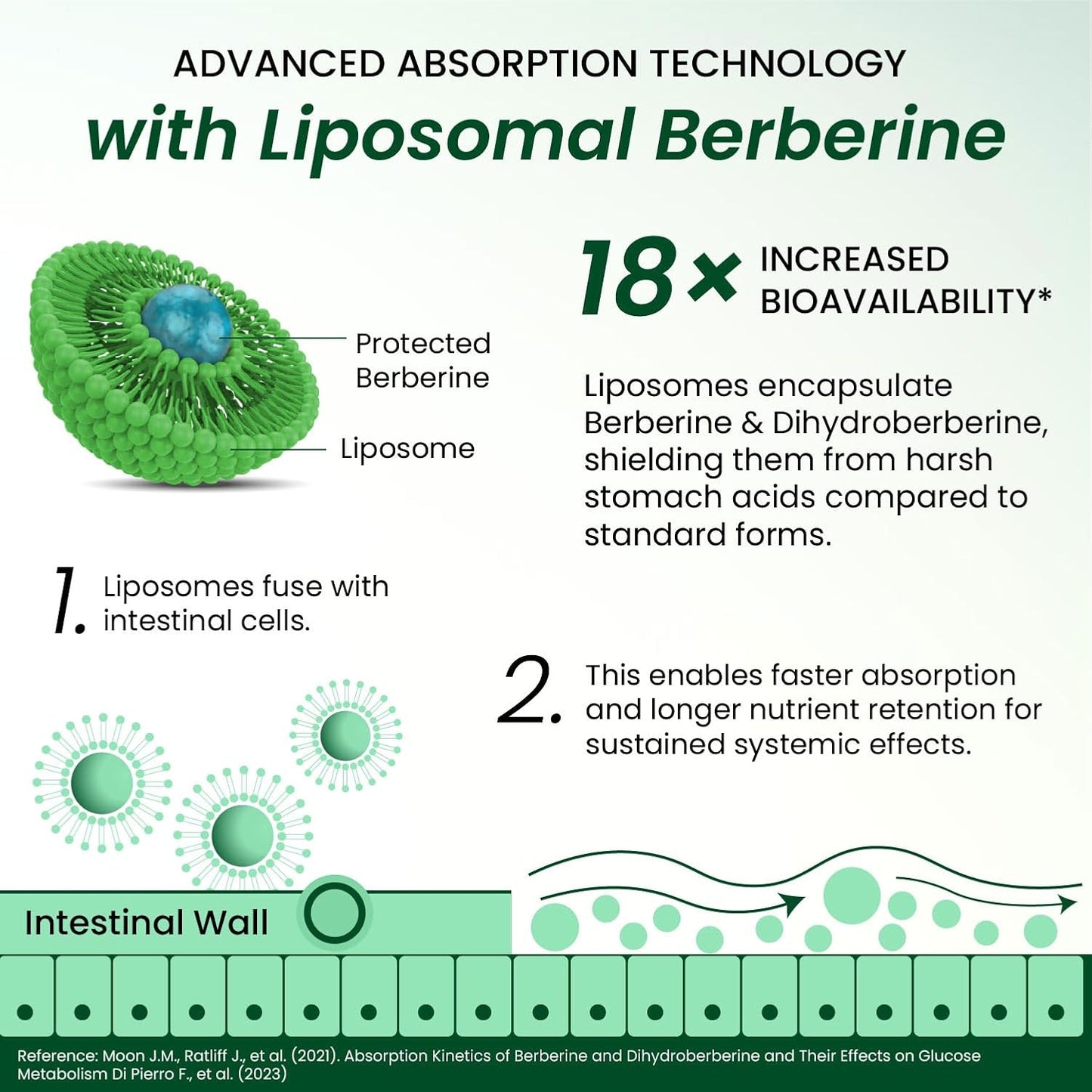 Vlado's Himalayan Organics Liposomal Berberine HCL+ 1500mg+ with Piperine, Chromium , Bitter Melon, Bael, Gudmar & Vitamin B12 |For Metabolism, Hormonal Balance, Healthy Blood Sugar & Cholesterol Levels | 60 Veg Tablets