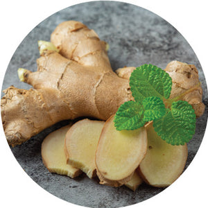 Ginger Extract (Zingiber officinale)