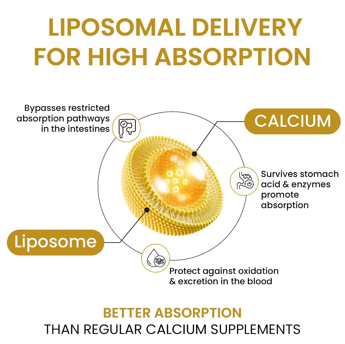Vlado’s Himalayan Organics Liposomal Calcium 2100mg with Vitamin D3 + K2 (MK-7) & Vitamin B12 | Better Absorption | Supports Healthy Bones, Heart, Joints & Recovery | For Men & Women | 60 Veg Tablets