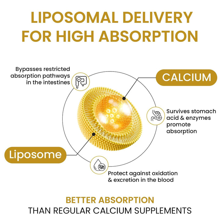 Vlado’s Himalayan Organics Liposomal Calcium 2100mg with Vitamin D3 + K2 (MK-7) & Vitamin B12 | Better Absorption | Supports Healthy Bones, Heart, Joints & Recovery | For Men & Women | 60 Veg Tablets
