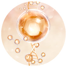 Collagen-Vitamin Blend