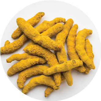 Turmeric Root Extract (Haldi)