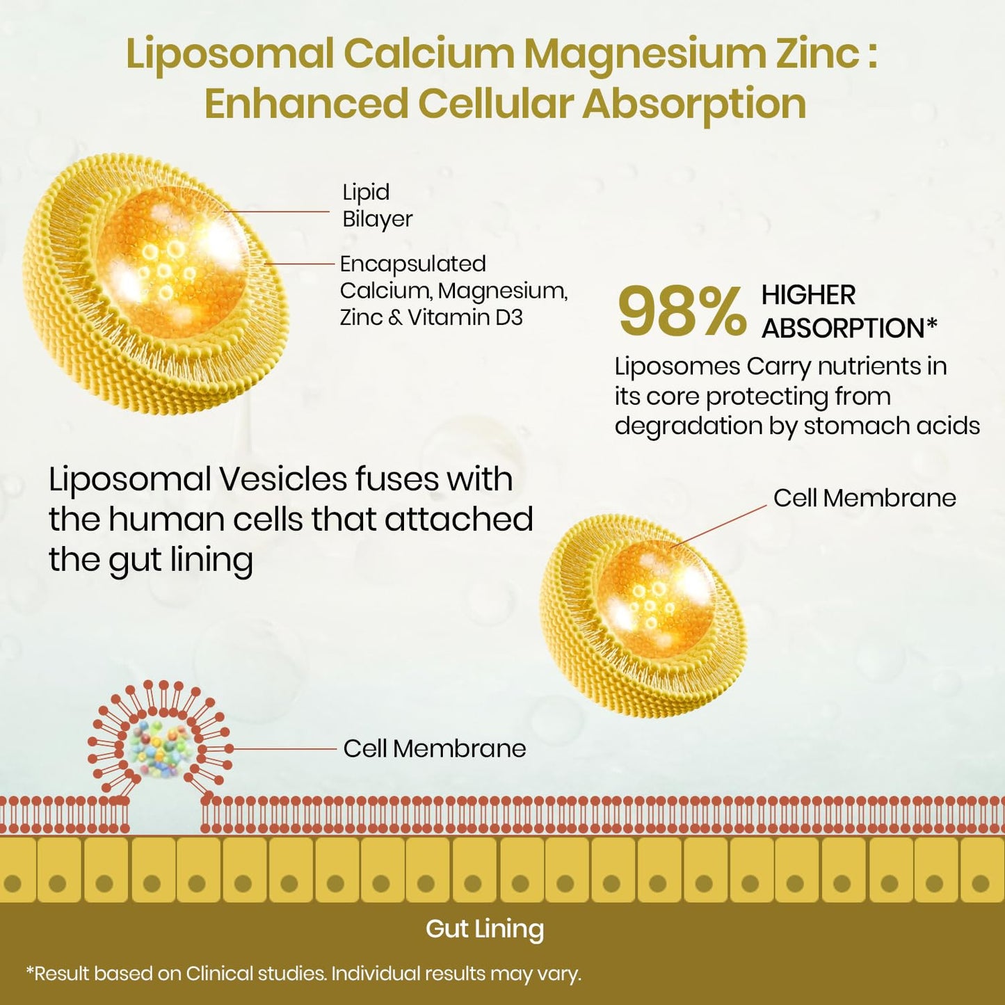 Vlado’s Himalayan Organics Liposomal Calcium Magnesium + Zinc | Vitamin D3+k2 Supplement For Stronger Bones | Boost Immunity | Healthy Heart | Muscle Growth - 60 Veg Tablets