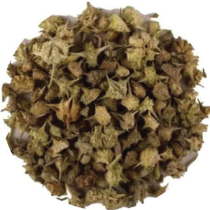 Safed Musli Root Extract