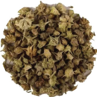Safed Musli Root Extract