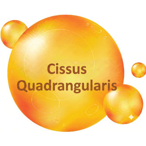 Cissus Quadrangularis Extract