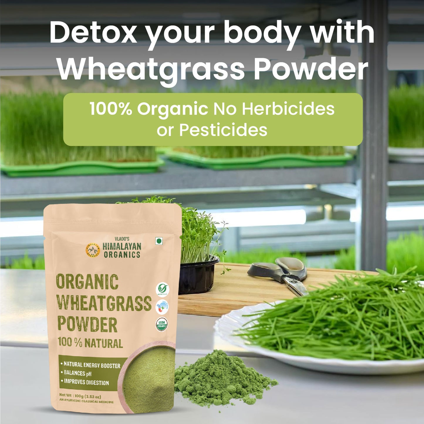 Vlado's Himalayan Organics 100% Natural Organic Wheatgrass Powder | USDA Certified I Wheat Grass Powder | Organic Wheatgrass Juice | Ayurvedic Support For Natural Detox | Immunity Booster | Herbal Supplement - 100g