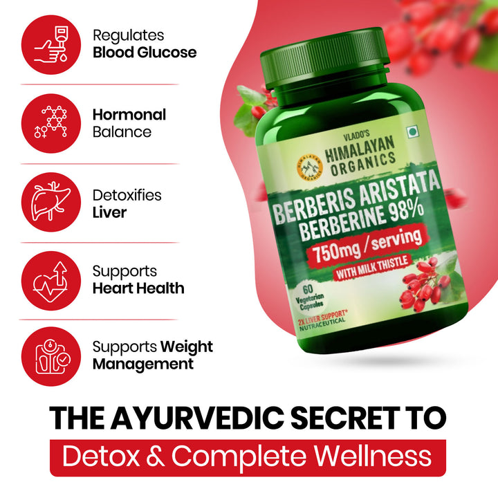 Vlado's Himalayan Organics Berberis Aristata Berberine 98% with Milk Thistle for 2X Liver Support - 60 Capsules