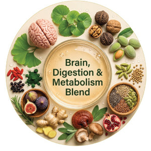 Brain, Digestion & Metabolism Blend