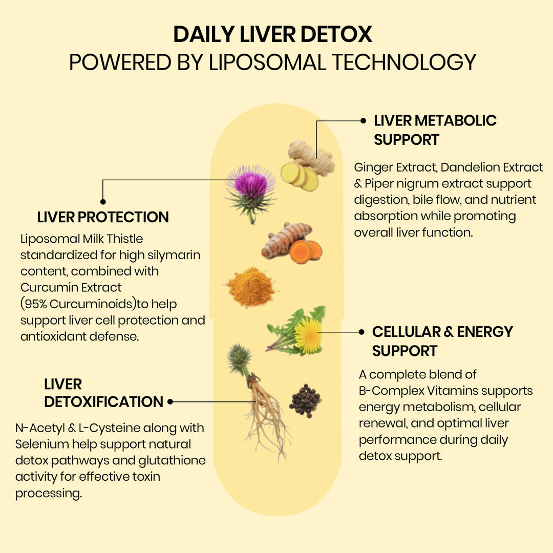 Vlado’s Himalayan Organics Liposomal Liver Detox with Milk Thistle 950mg | Curcumin, Ginger & Dandelion Extract | With Multivitamins & Amino Acids | 60 Veg Capsules