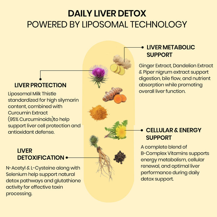 Vlado’s Himalayan Organics Liposomal Liver Detox with Milk Thistle 950mg | Curcumin, Ginger & Dandelion Extract | With Multivitamins & Amino Acids | 60 Veg Capsules