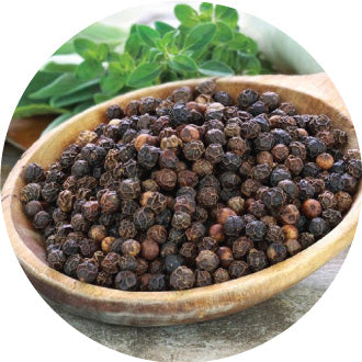 Piperine Extract (Piper nigrum)