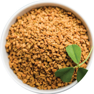 Methi, Vidarikand, Salam Panja & Akarkara