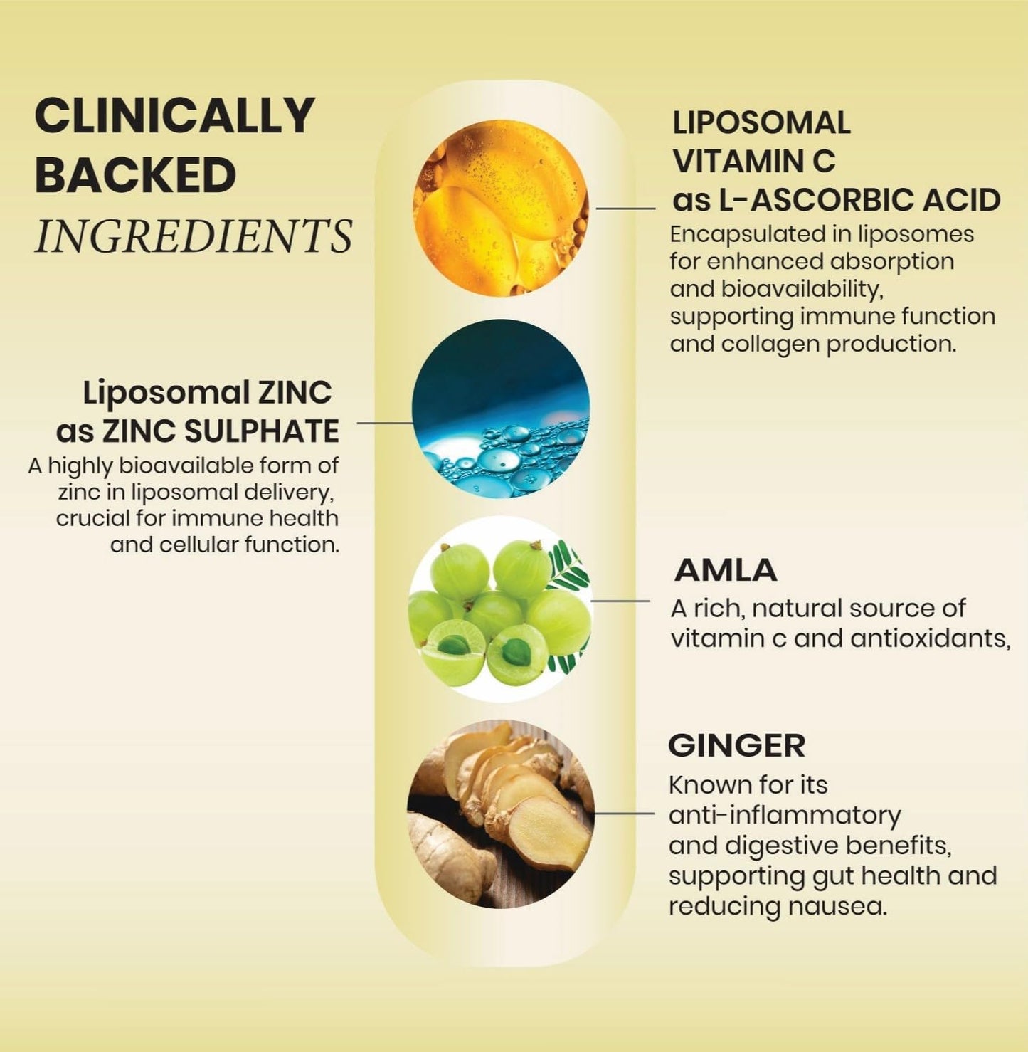 Vlado's Himalayan Organics Natural Liposomal Vitamin C Supplements Amla Extract With Zinc For Immunity & Skincare | Antioxidant Vitamin, Skin Rejuvenation I Vitamin C Tablets - 120 Veg Tablets