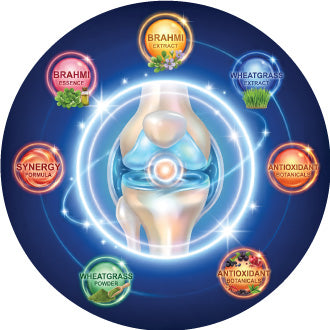 Brahmi, Wheatgrass & Antioxidants