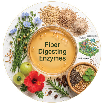 Fiber Digesting Enzymes