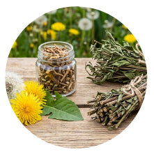 Dandelion & Chirata