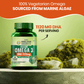 Vlado's Himalayan Organics Vegan Omega 3 - 1120 MG Supplement | 3X Strength | Veg DHA | Vegetarian Omega 3 | Algal DHA | Plant Based | No Fish oil Used I Healthy Heart, Joints & Eyes I Omega Capsules for Men & Women- 60 Veg Capsules
