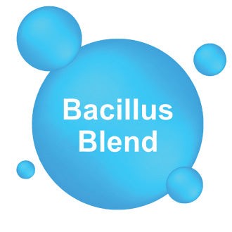 Bacillus Blend