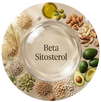 Beta Sitosterol