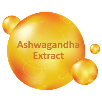 Ashwagandha Extract