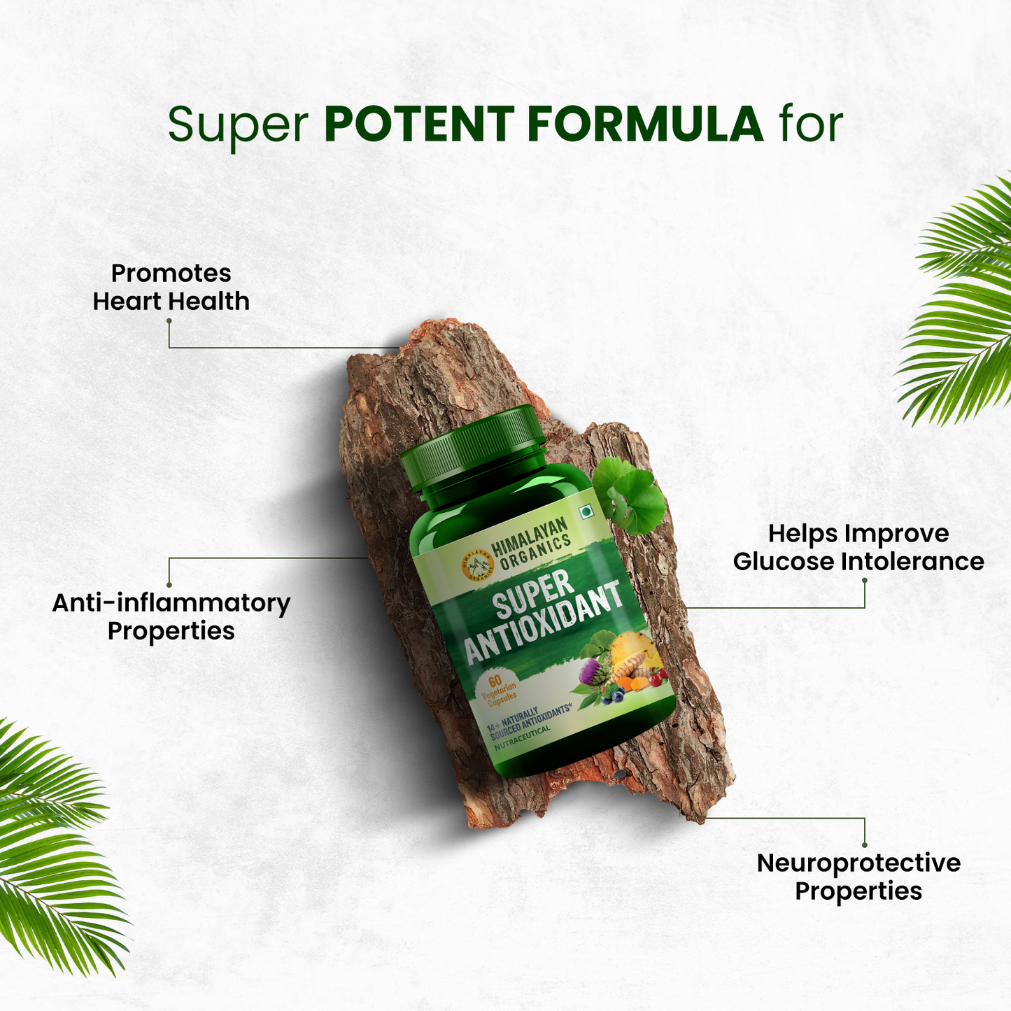 Himalayan Organics Super Antioxidant Supplement | Powerhouse of Antioxidant for Overall Health (60 Capsules)