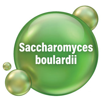 Saccharomyces boulardii