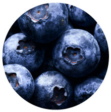 Blueberry Extract