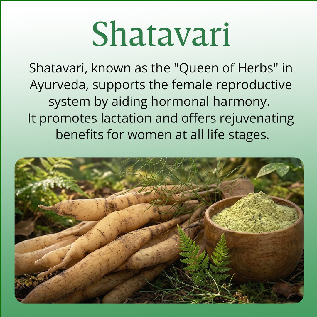 Vlado's Himalayan Organics Shatavari Extract 600 Mg Supplement for Women’s Hormone Balance & Wellness | Boosts Immunity, Supports Digestion & Overall Vitality - 60 Veg Capsule