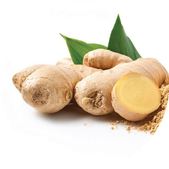 Ginger Extract