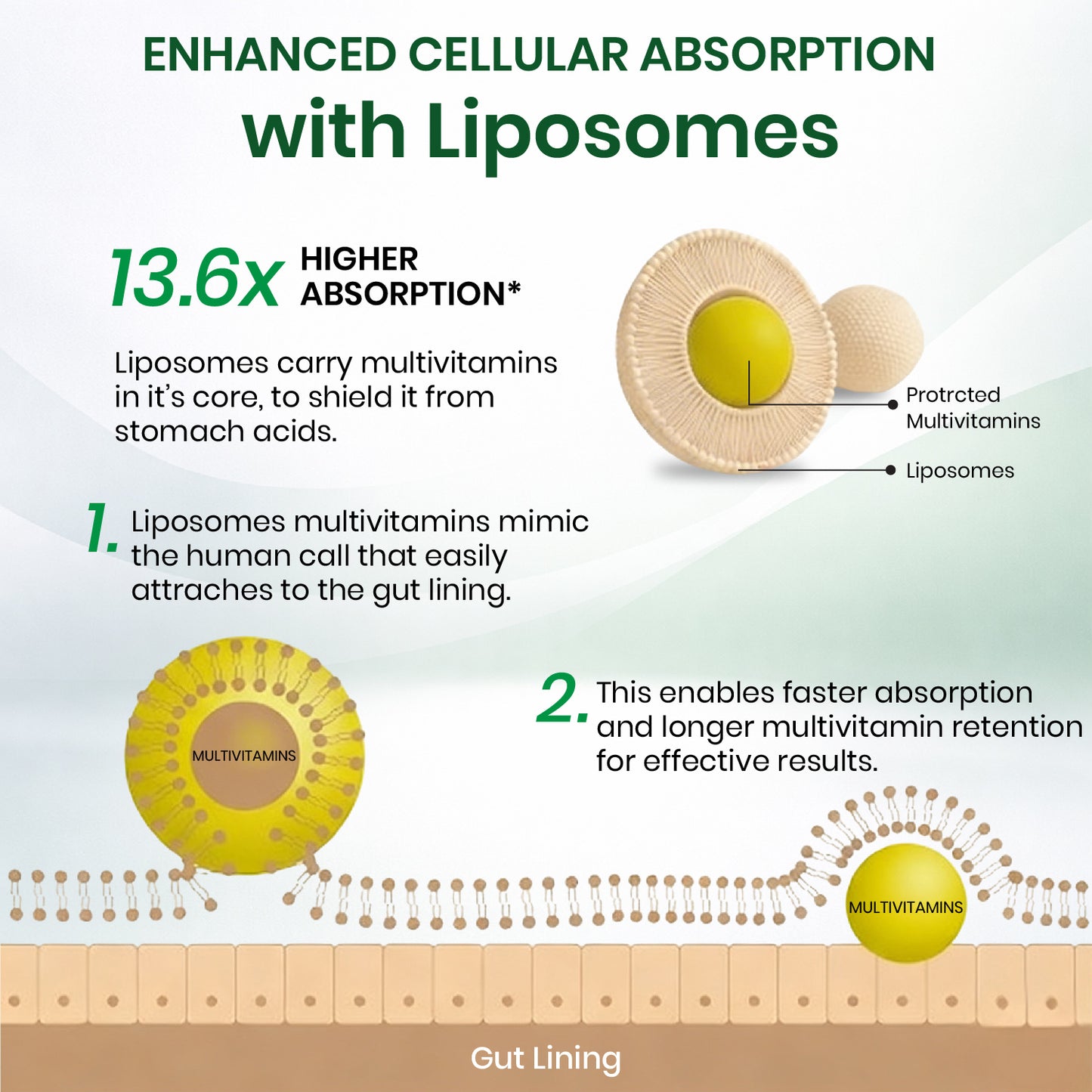 Vlado’s Himalayan Organics Liposomal Multivitamin Adult 50+ with 75+ Ingredients | Daily Health Supplement with 9+ Powerful Blends | Supports Energy, Immunity, Brain, Heart & Eye Health | 60 Veg Capsules
