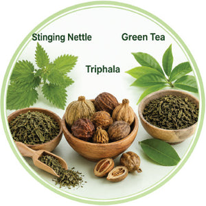 Stinging Nettle, Green Tea & Triphala