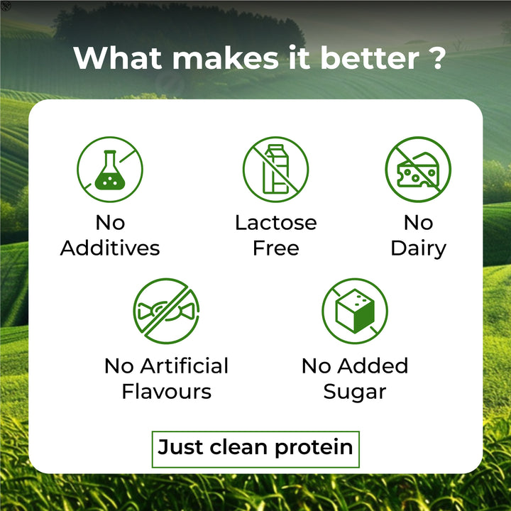 Vlado's Himalayan Organics Organic Protein ( Made with Pea ) - 500G