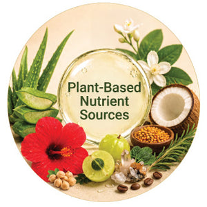 Plant-Based Nutrient Sources