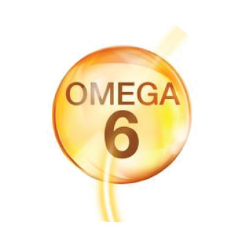 Omega-6 Fatty Acids