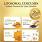 Vlado's Himalayan Organics Curcumin (1600mg+ / Serving ) with Black Pepper  Supplement and 95% Curcuminoids | Anti inflammatory Supplement for Men & Women | With Curcuma Longa, Turmeric & Ginger Root extract | 60 Veg Tablets