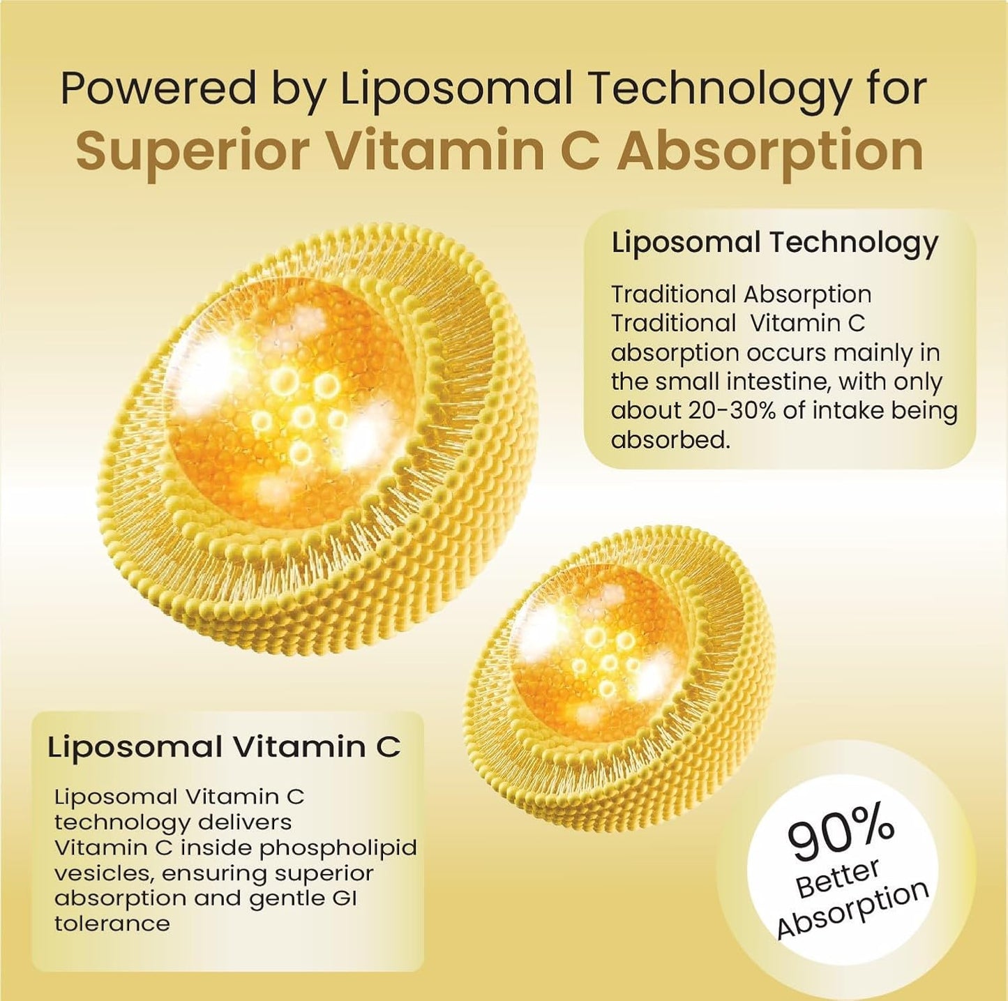 Vlado's Himalayan Organics Natural Liposomal Vitamin C Supplements Amla Extract With Zinc For Immunity & Skincare | Antioxidant Vitamin, Skin Rejuvenation I Vitamin C Tablets - 120 Veg Tablets