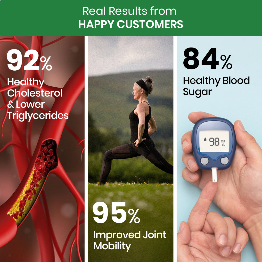 Vlado's Himalayan Organics Flax Seed Oil Omega 3 6 9 Vegan Natural Nutrition Supplement for Muscle , Bone , Heart & Skin - Veg Capsules 90 Count