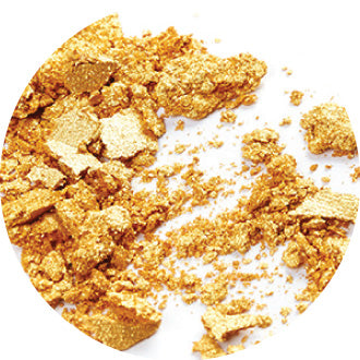 Atmagupta Seed Extract