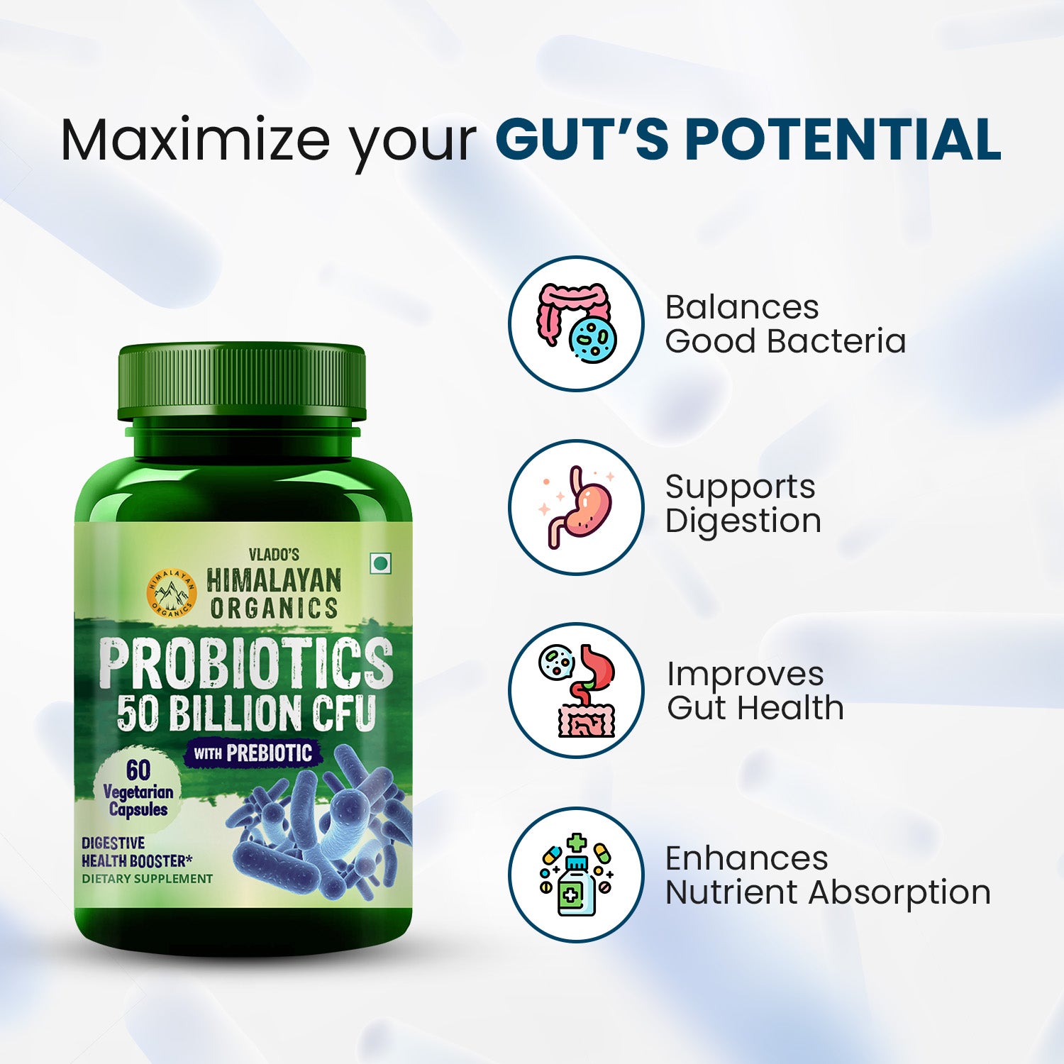 Best Gut Health Supplements