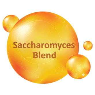 Saccharomyces Blend