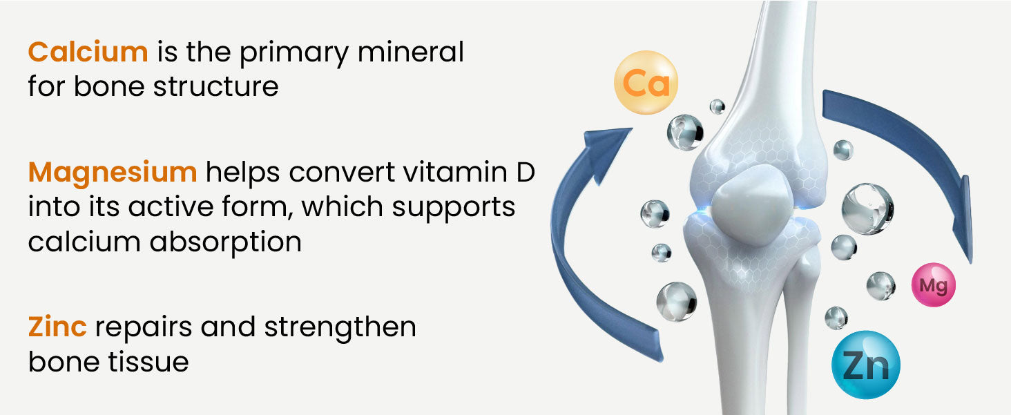 Essential Minerals for Bone Health